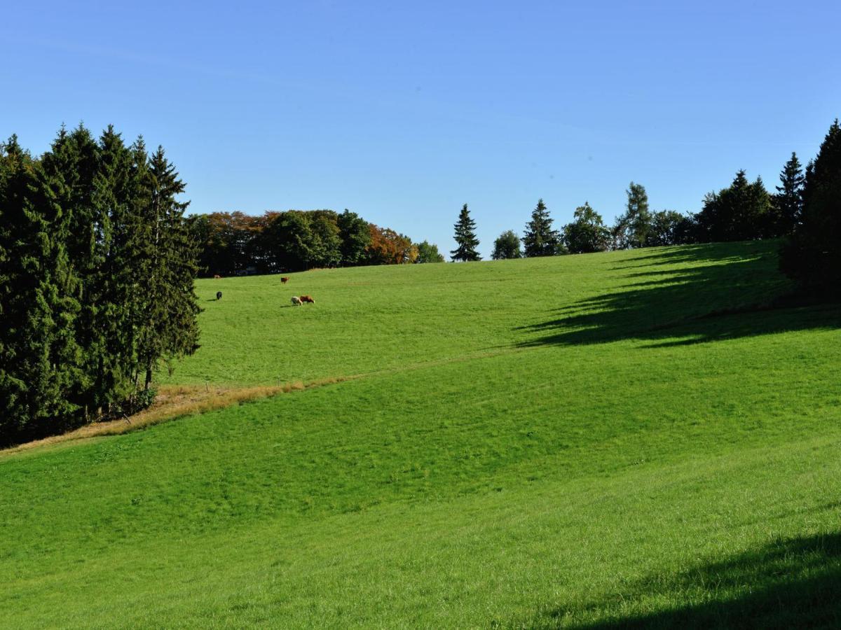 Holiday In The Sauerland Region In Unique Location Willingen  Esterno foto